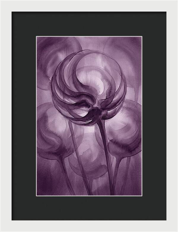 Ornamental Allium Globe