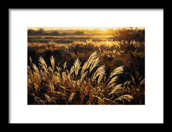 Ornamental Grass Plume At Dusk