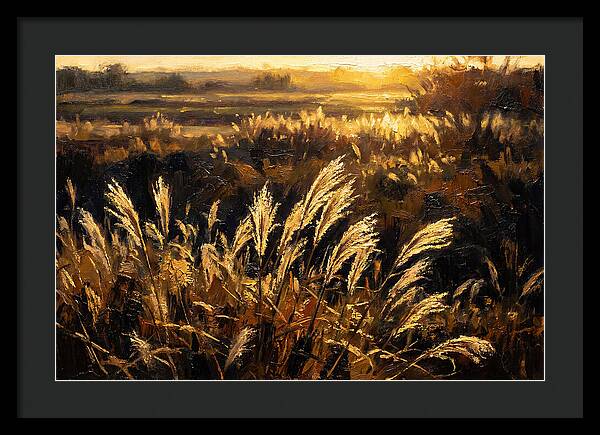 Ornamental Grass Plume At Dusk