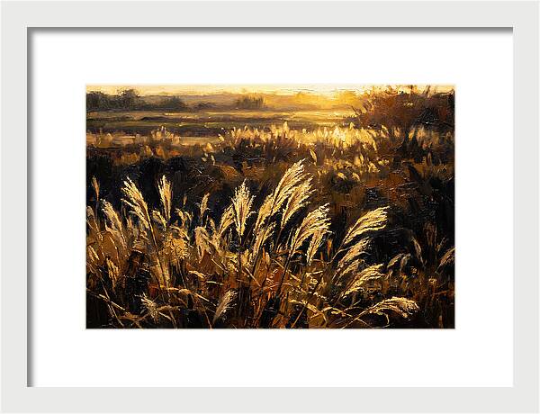 Ornamental Grass Plume At Dusk