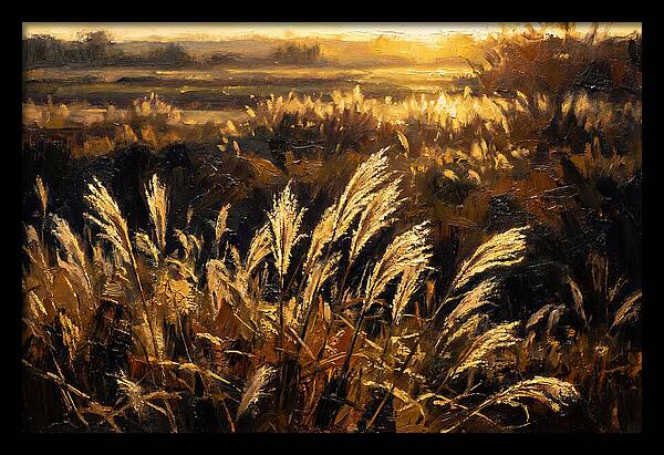 Ornamental Grass Plume At Dusk