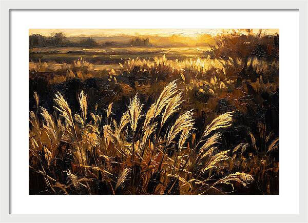 Ornamental Grass Plume At Dusk