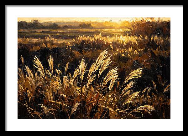 Ornamental Grass Plume At Dusk