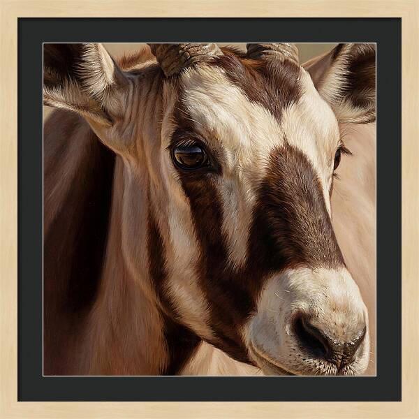 Oryx Portrait In Realism