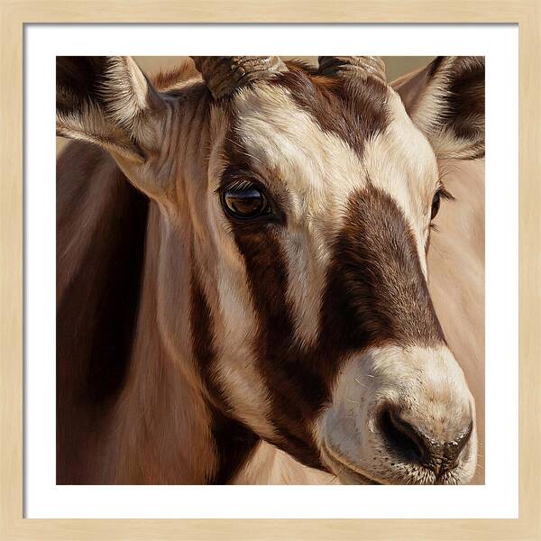 Oryx Portrait In Realism