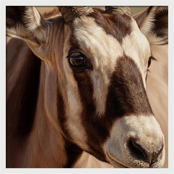 Oryx Portrait In Realism
