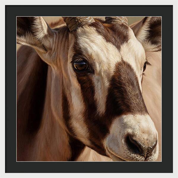 Oryx Portrait In Realism