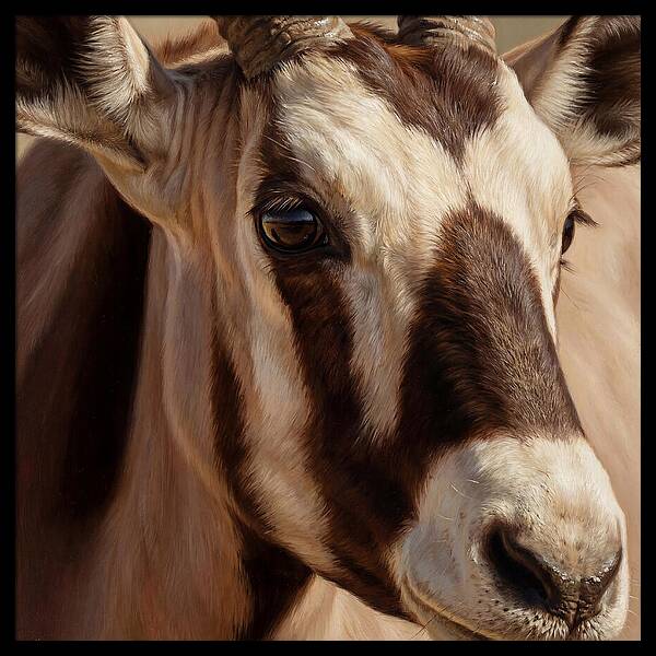 Oryx Portrait In Realism