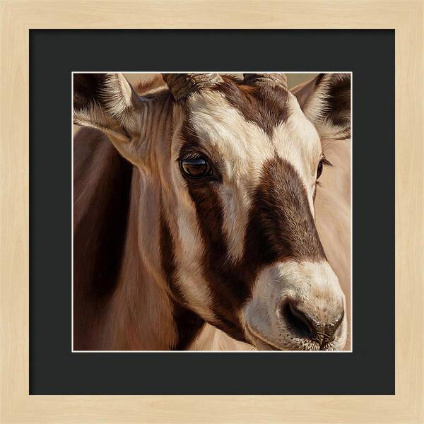 Oryx Portrait In Realism