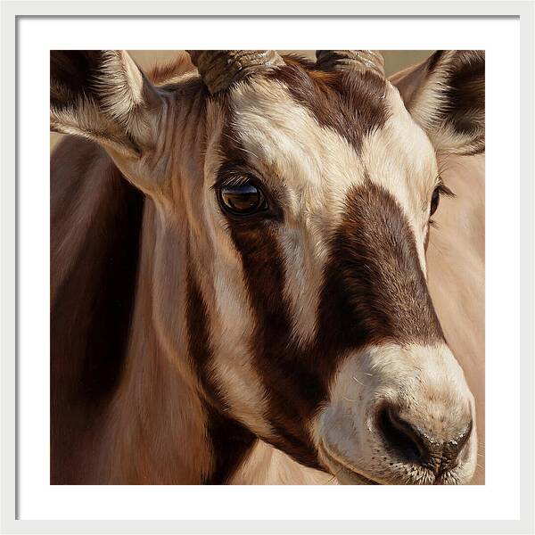 Oryx Portrait In Realism