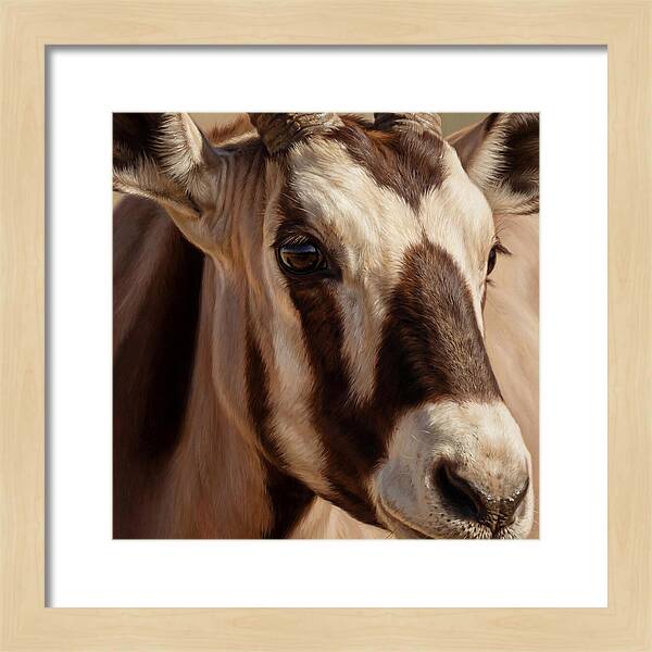 Oryx Portrait In Realism