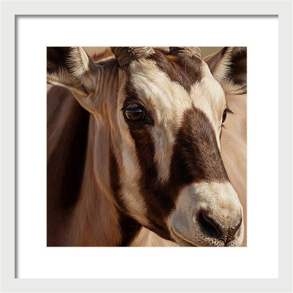 Oryx Portrait In Realism