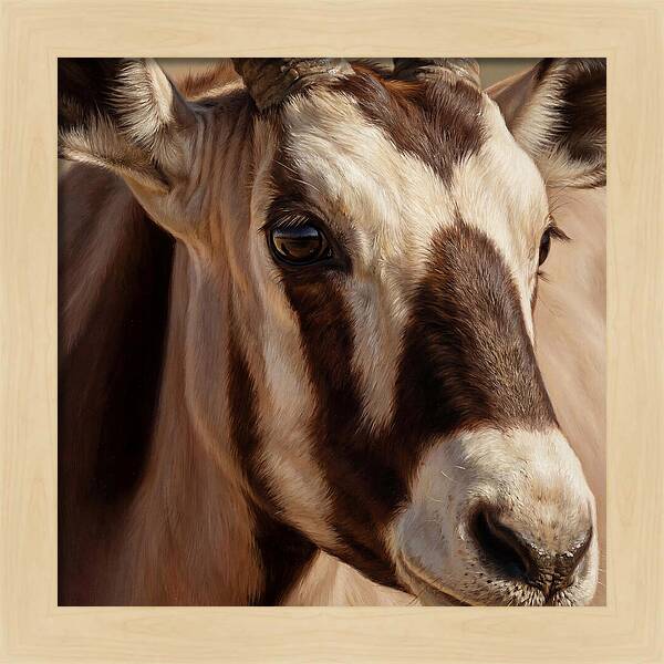 Oryx Portrait In Realism