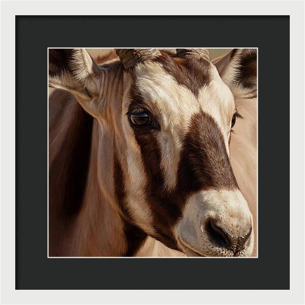 Oryx Portrait In Realism