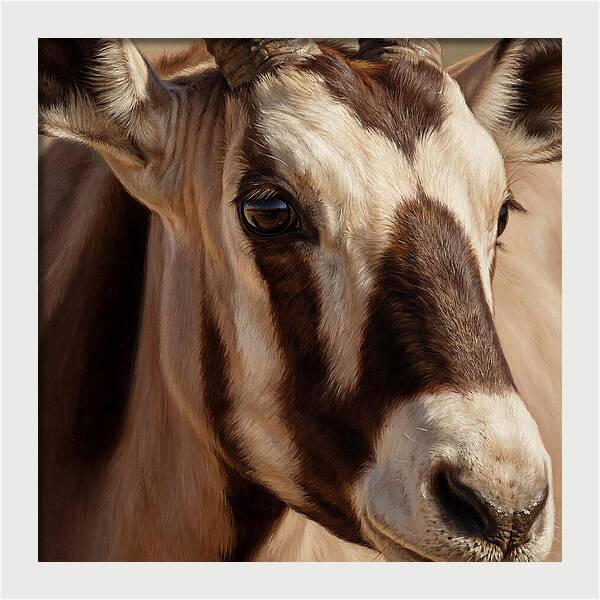 Oryx Portrait In Realism