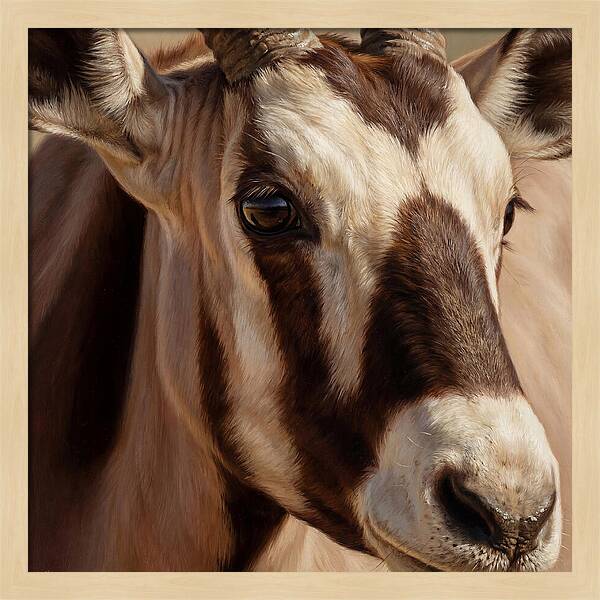 Oryx Portrait In Realism