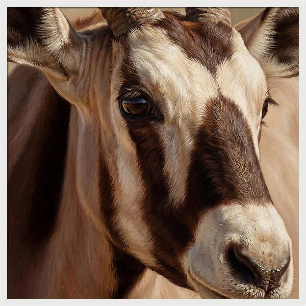 Oryx Portrait In Realism