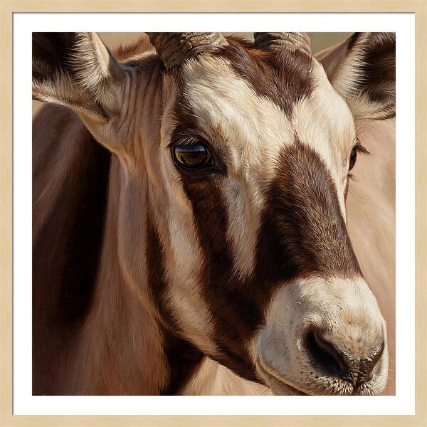 Oryx Portrait In Realism