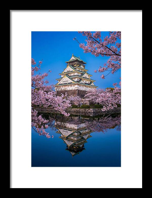 Osaka Castle Under Cherry Blossoms