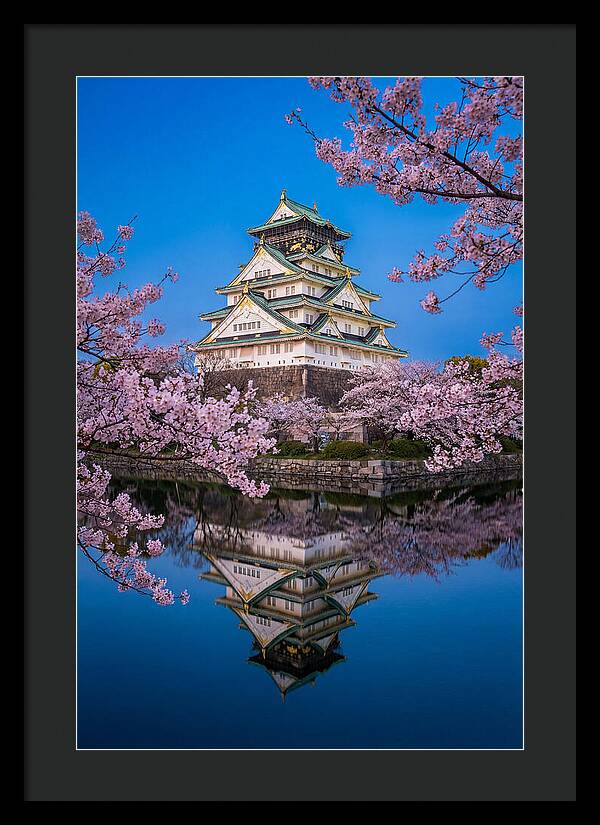 Osaka Castle Under Cherry Blossoms