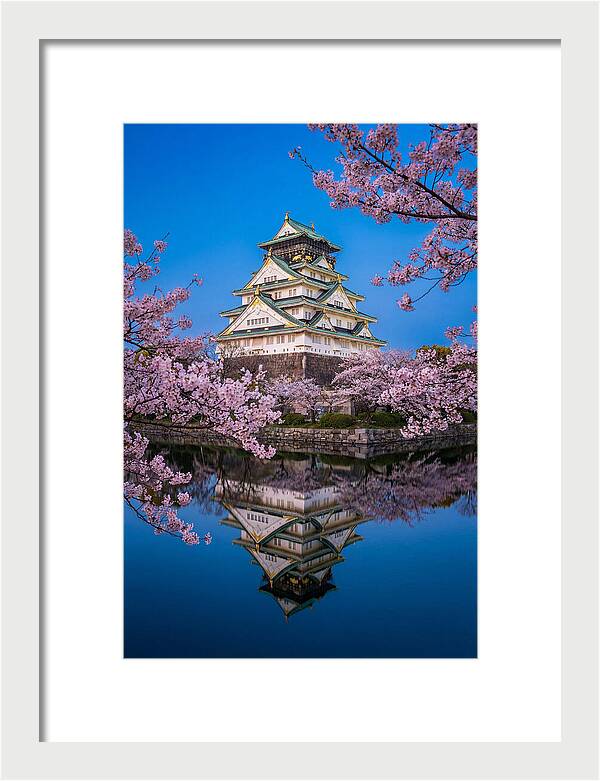 Osaka Castle Under Cherry Blossoms