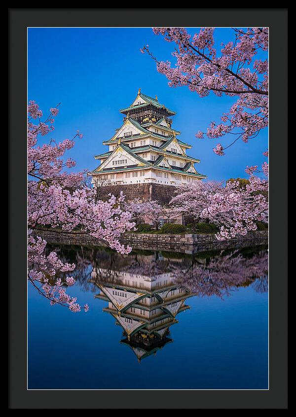 Osaka Castle Under Cherry Blossoms