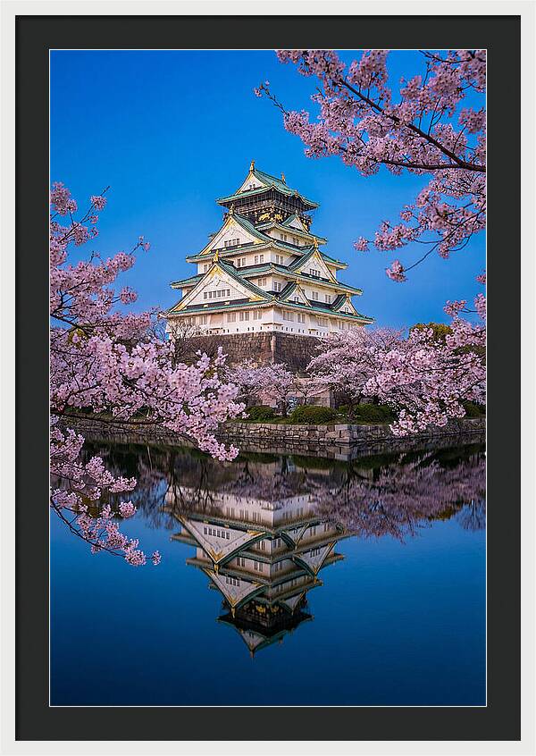 Osaka Castle Under Cherry Blossoms