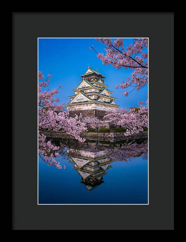 Osaka Castle Under Cherry Blossoms