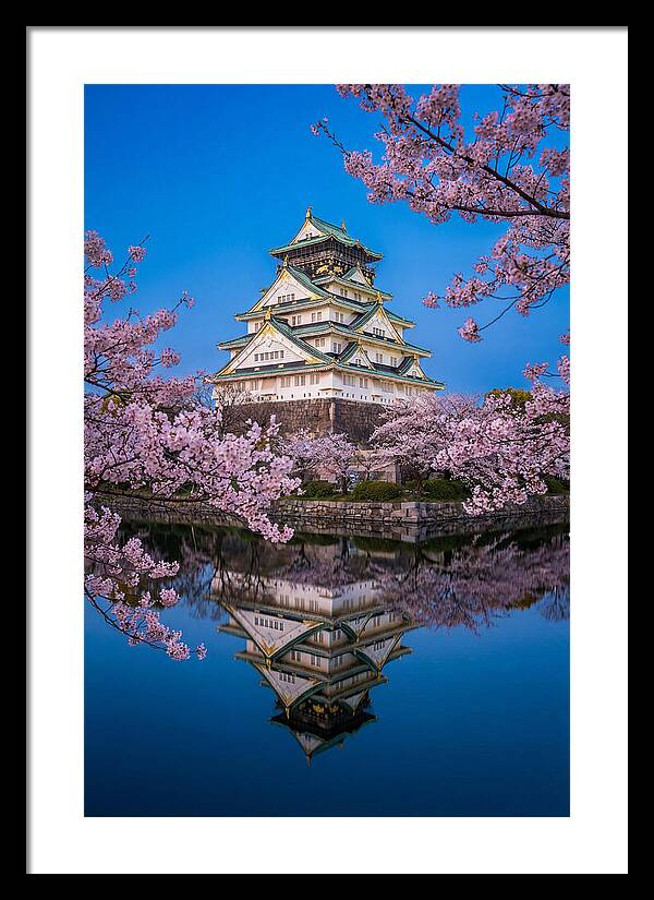 Osaka Castle Under Cherry Blossoms