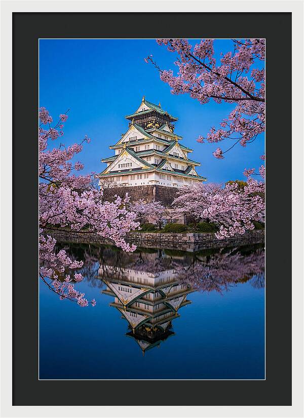 Osaka Castle Under Cherry Blossoms