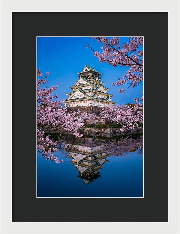 Osaka Castle Under Cherry Blossoms