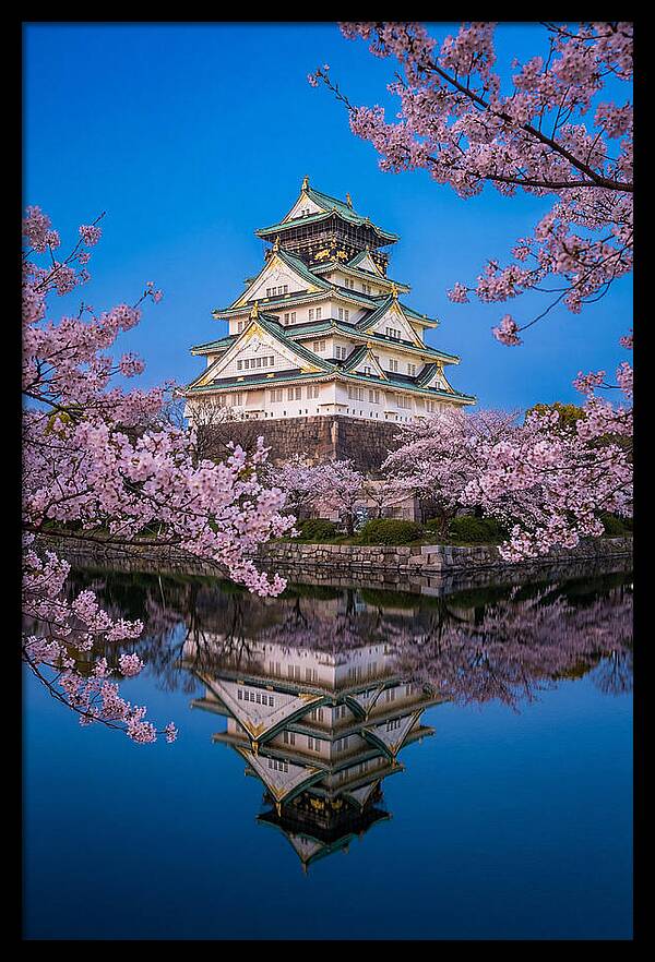 Osaka Castle Under Cherry Blossoms