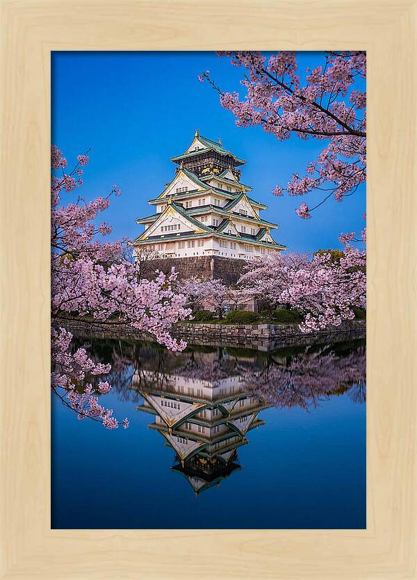 Osaka Castle Under Cherry Blossoms