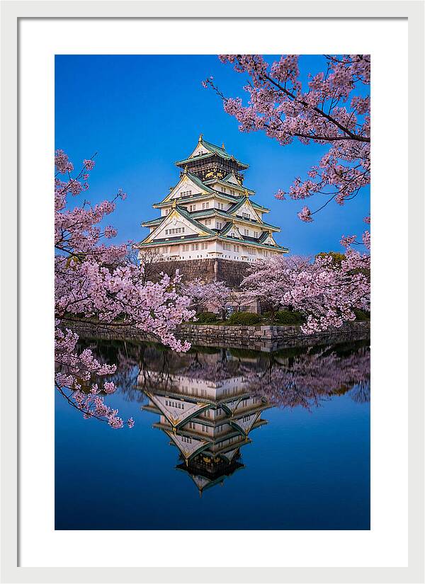 Osaka Castle Under Cherry Blossoms