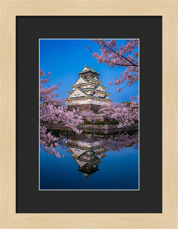 Osaka Castle Under Cherry Blossoms