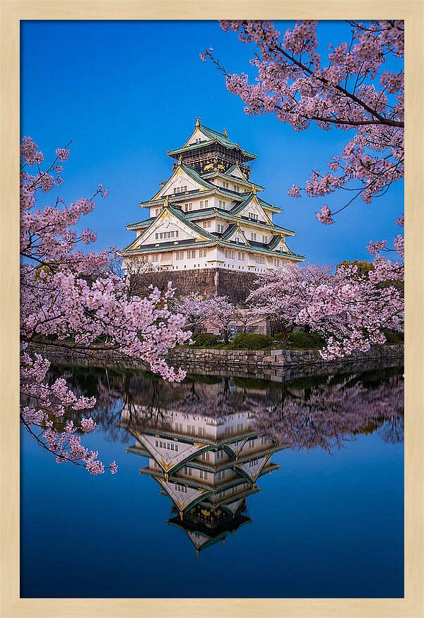 Osaka Castle Under Cherry Blossoms