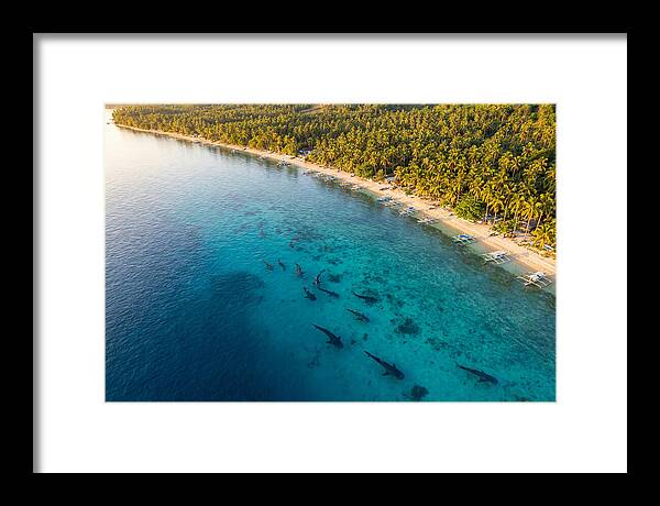 Oslob Whale Sharks In Tranquil Waters