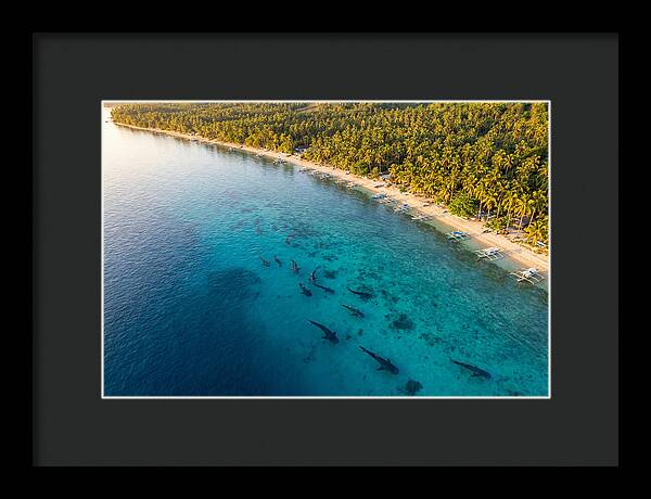 Oslob Whale Sharks In Tranquil Waters