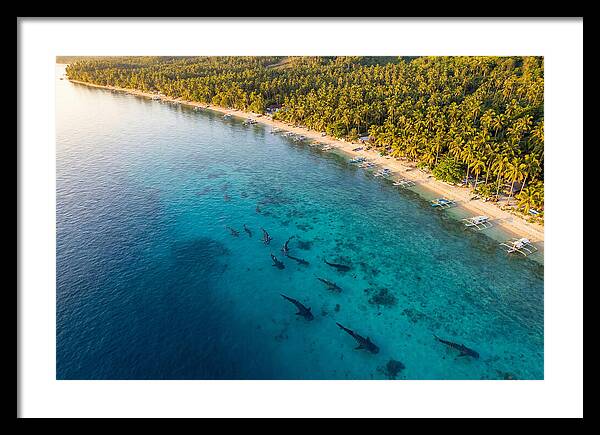 Oslob Whale Sharks In Tranquil Waters