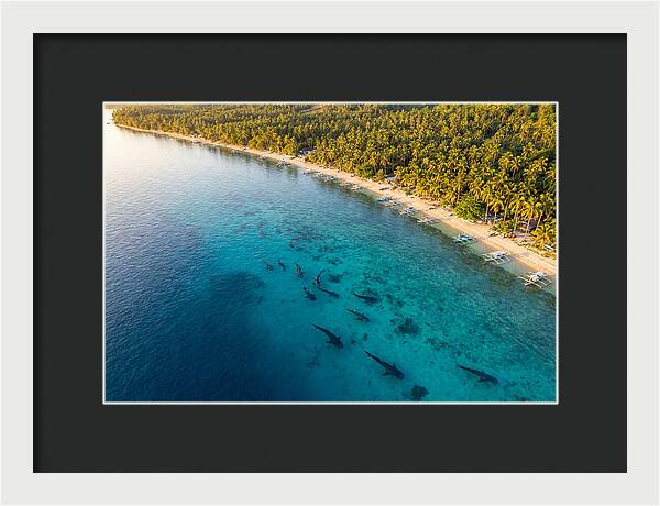 Oslob Whale Sharks In Tranquil Waters