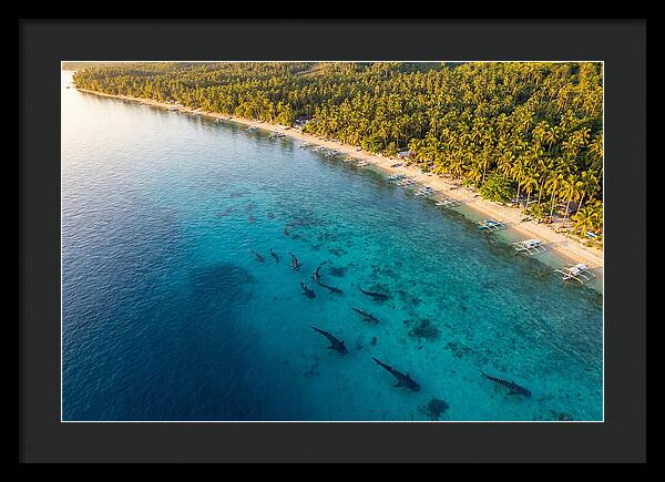Oslob Whale Sharks In Tranquil Waters