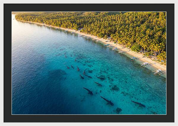 Oslob Whale Sharks In Tranquil Waters