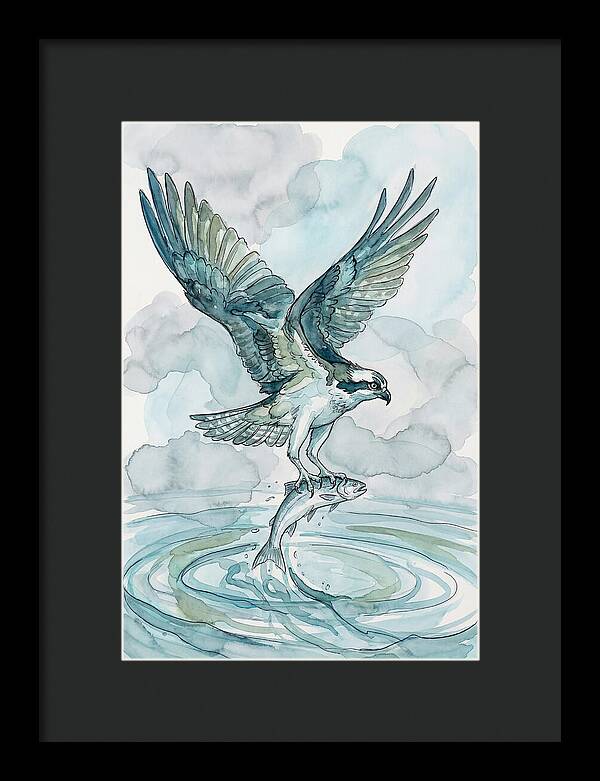 Osprey Catching Fish