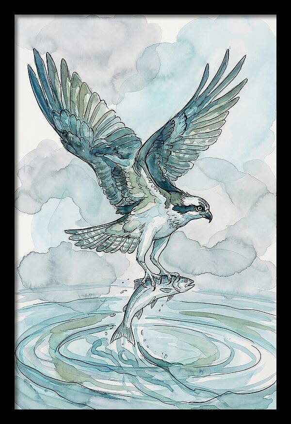Osprey Catching Fish