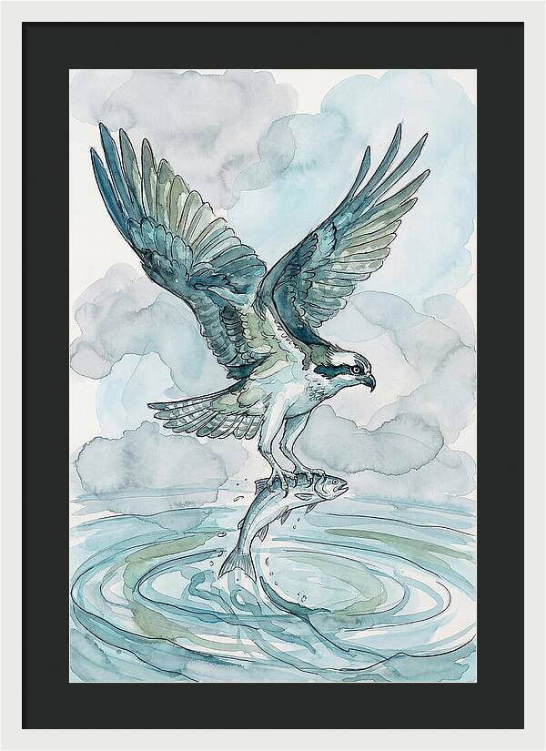 Osprey Catching Fish
