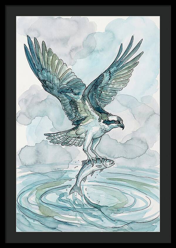 Osprey Catching Fish