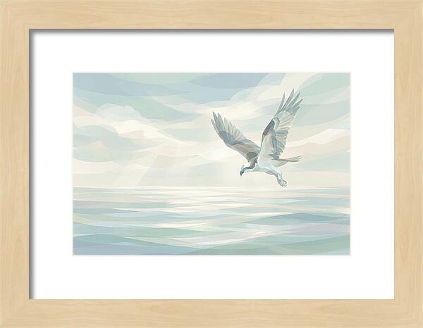 Osprey Diving Into Sparkling Water