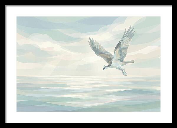 Osprey Diving Into Sparkling Water