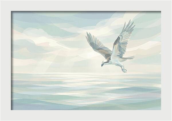 Osprey Diving Into Sparkling Water
