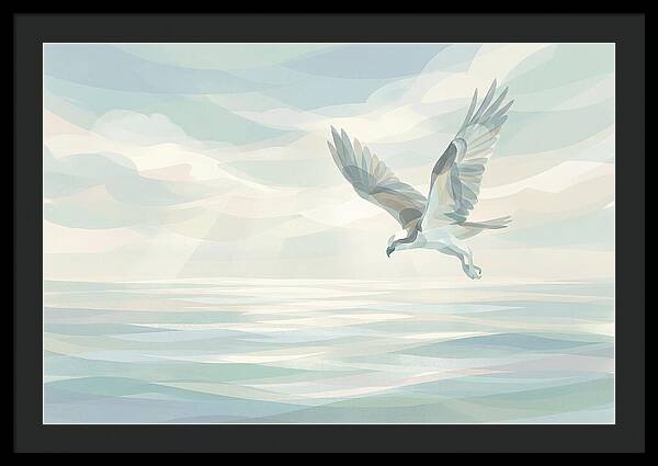 Osprey Diving Into Sparkling Water